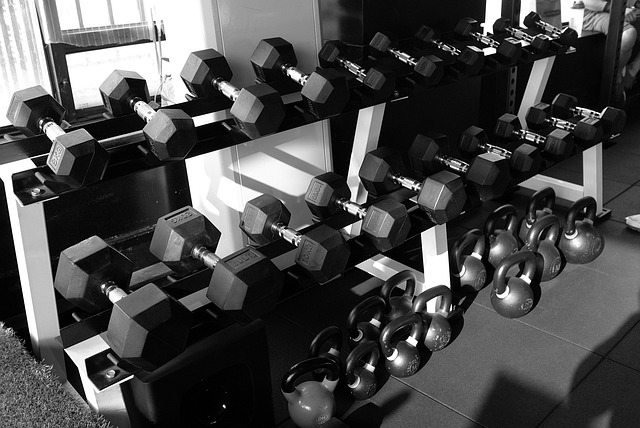 Used Gym Equipment for Sale in the USA — Expert Tips for Smart Buyers